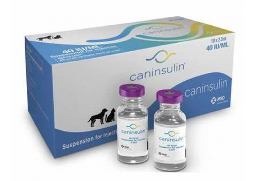 Caninsulin 10x2,5ml