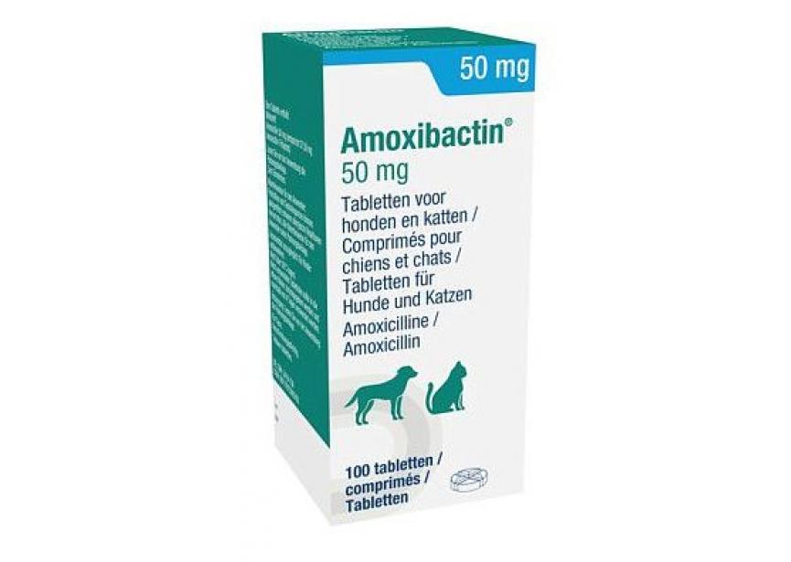 amoxibactin-50mg-100tabs