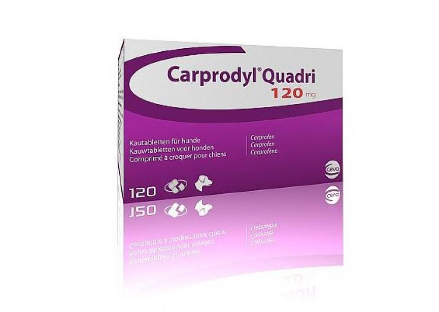 carprodyl-quadri-120mg-120Co