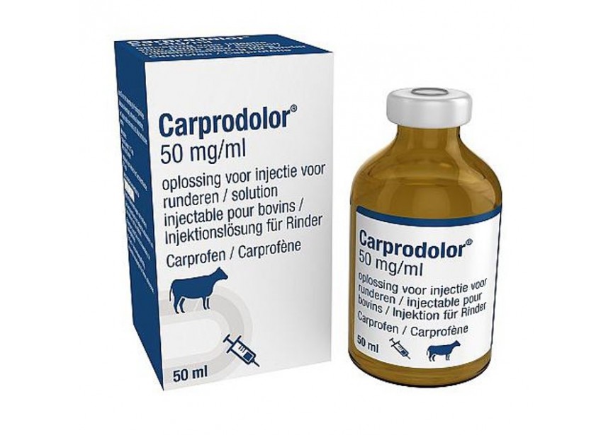 carprodolor-50mg-ml-50ml