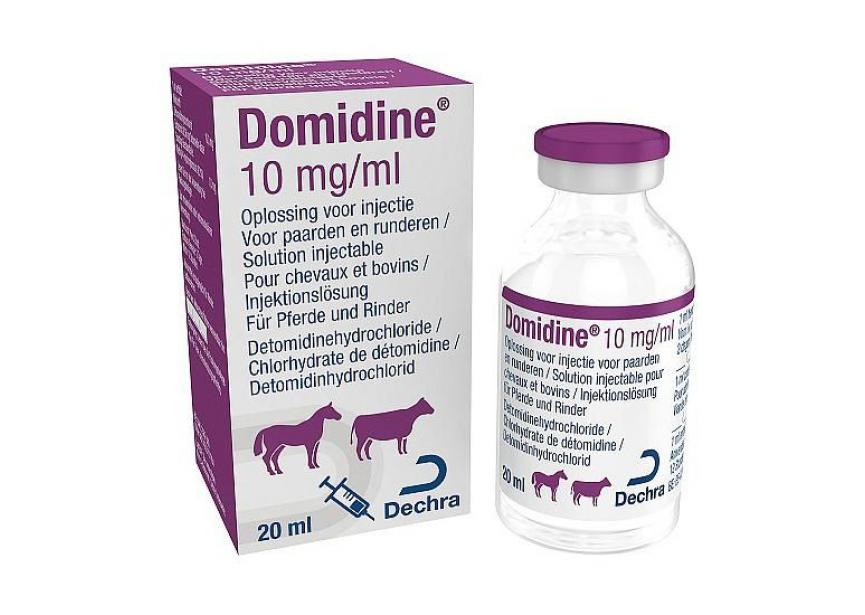 domidine-20ml