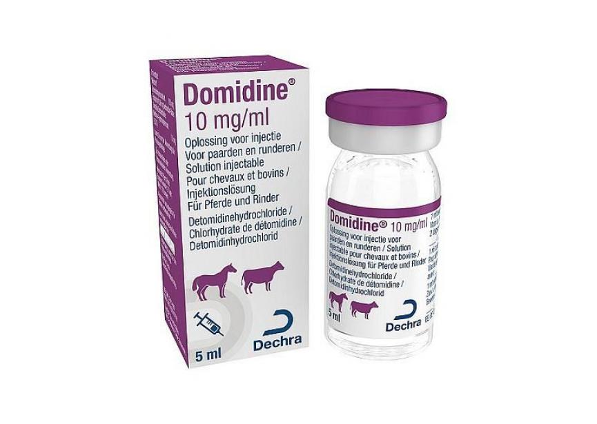domidine-5ml
