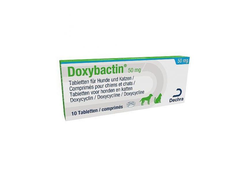 doxybactin-50mg-10tab