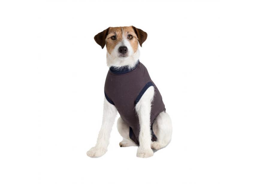 Medical Body Suit hond