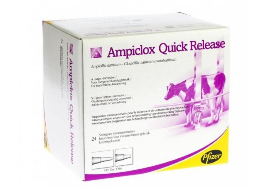 Ampiclox QR 24appl.