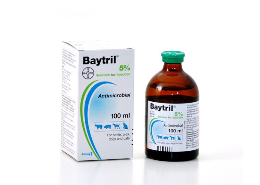 Baytril 5% 100ml
