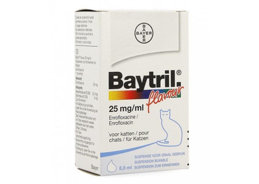 Baytril susp cats 25 mg ml 8.5ml