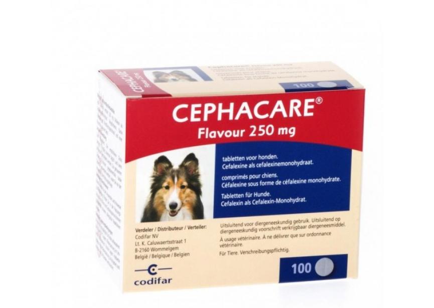 CEPHACARE 250 MG 100 CO
